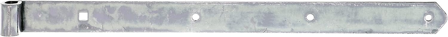  Alberts 312343 Hinge | Various Designs | Passivated | Hinge Diameter 20 Mm | Size 800 X 60 Mm